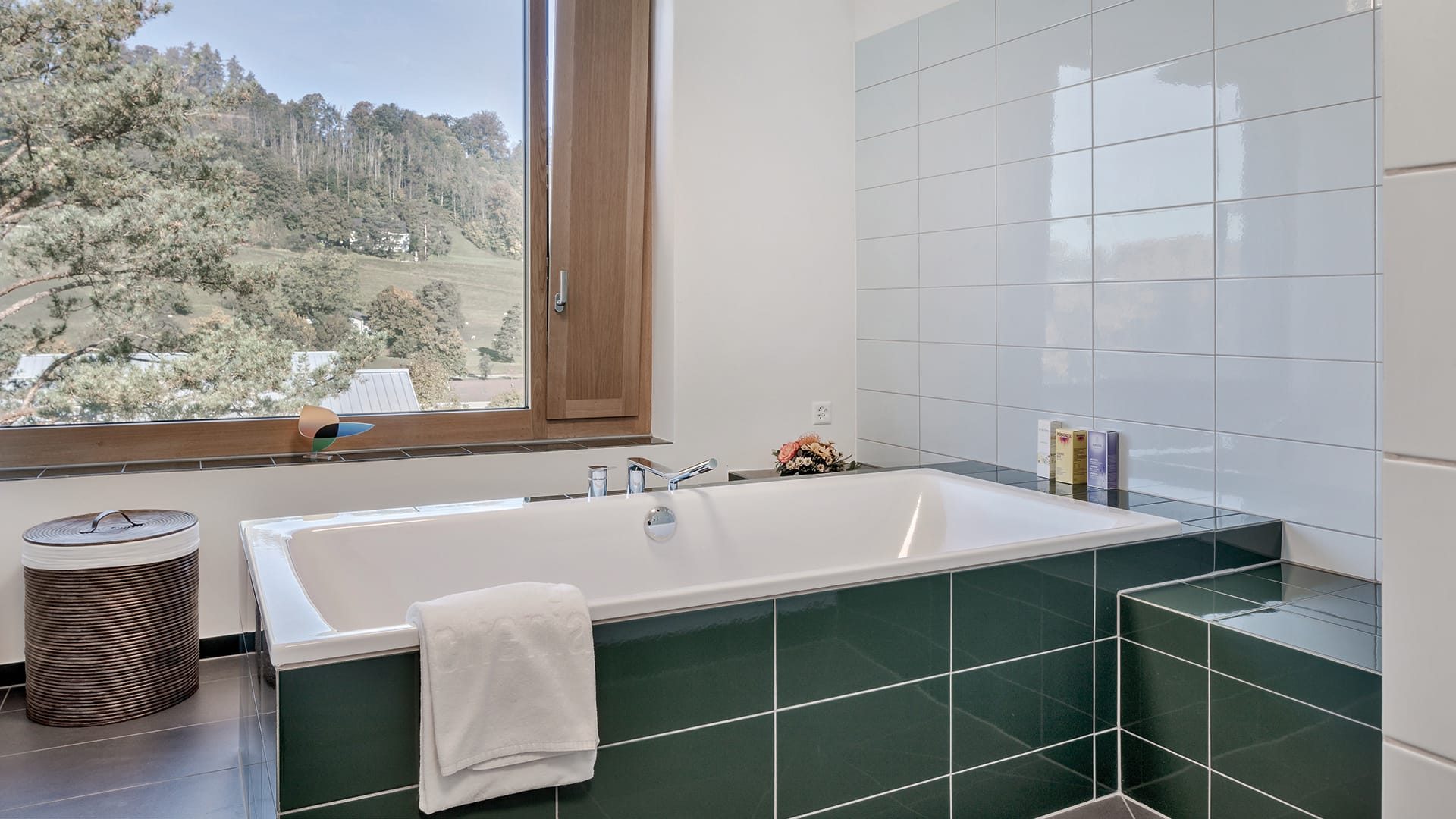 Privatstation Panorama D 10 clienia-littenheid-prive-11