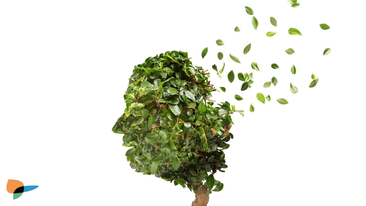 Demenzen Krankheiten Clienia AG Führend in Psychiatrie und