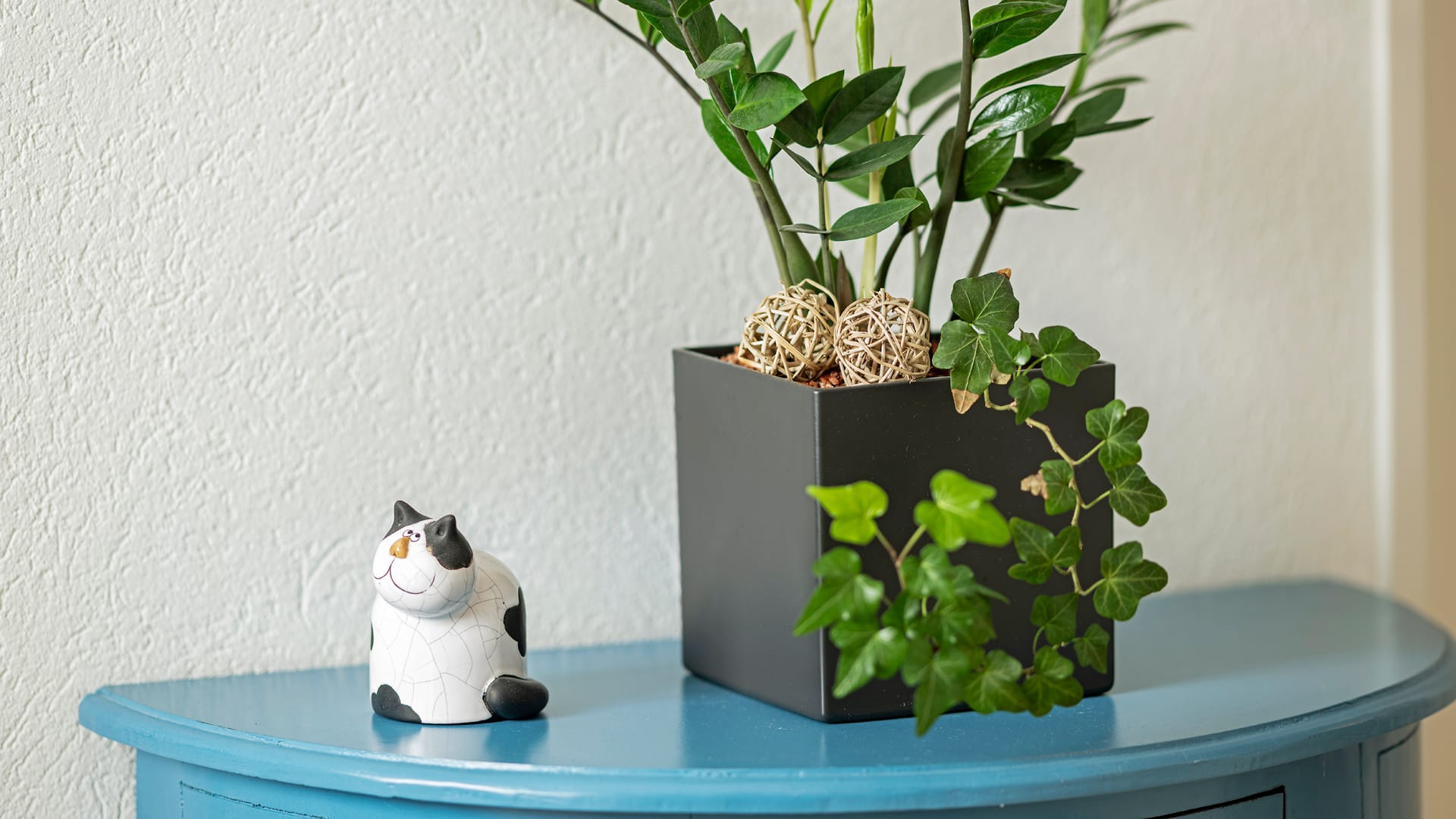 standorte-clienia-frauenfeld-psychiatriezentrum-alterstagesklinik-9